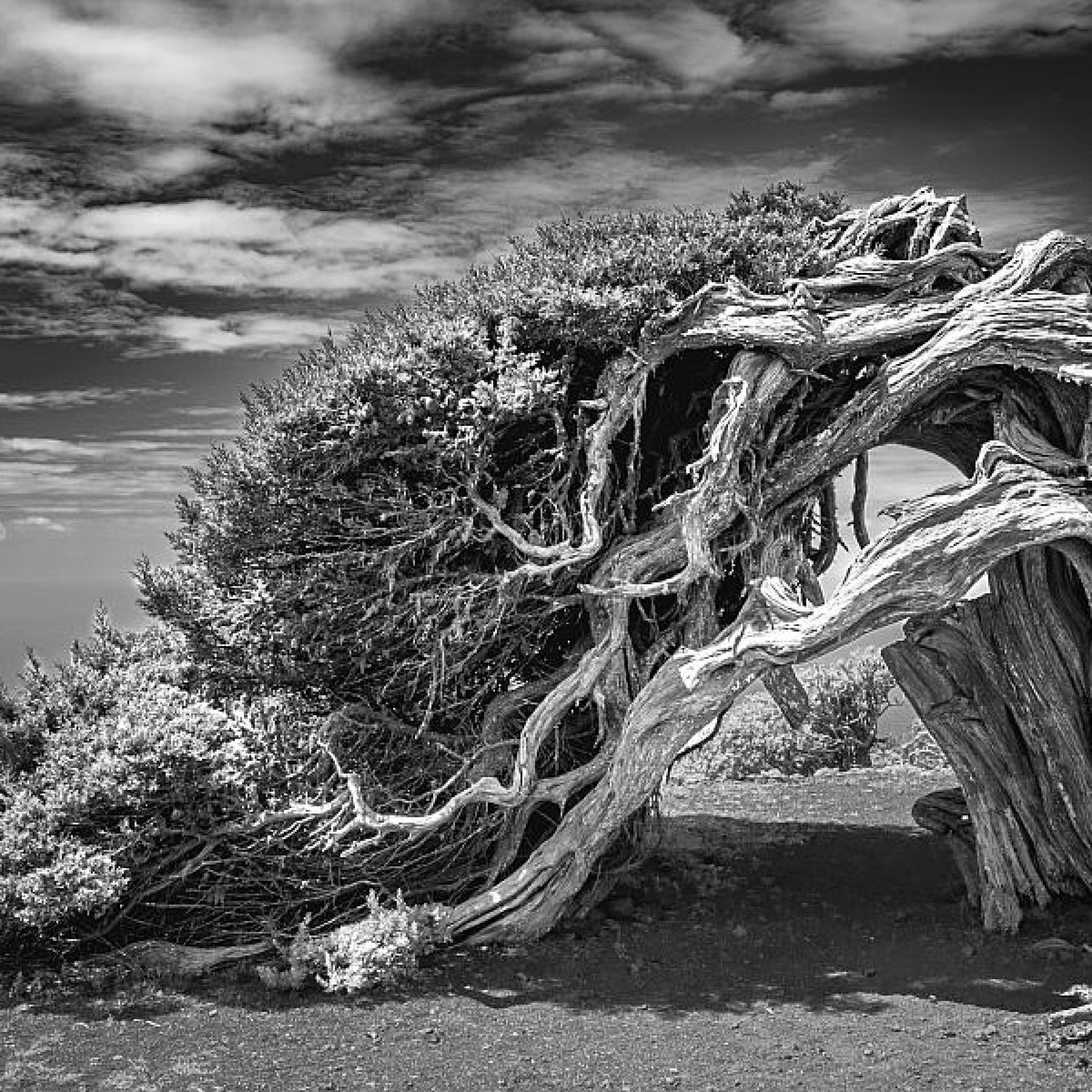 Fotoausstellung des Fotoclub Vaterstetten